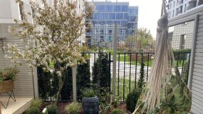"Wymarzone ogrody": najłatwiejsze i najszybsze w montażu ogrodzenie do ogrodu